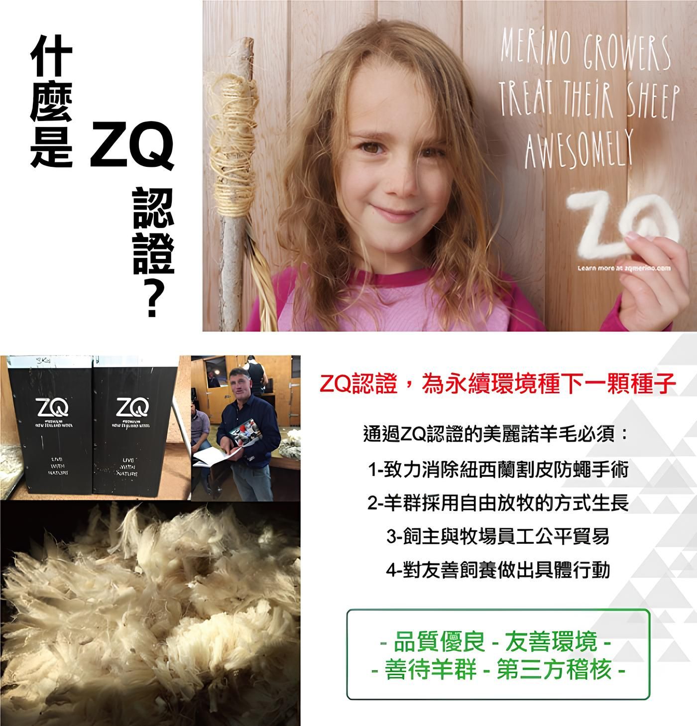 Smartwool-ZQ.jpg