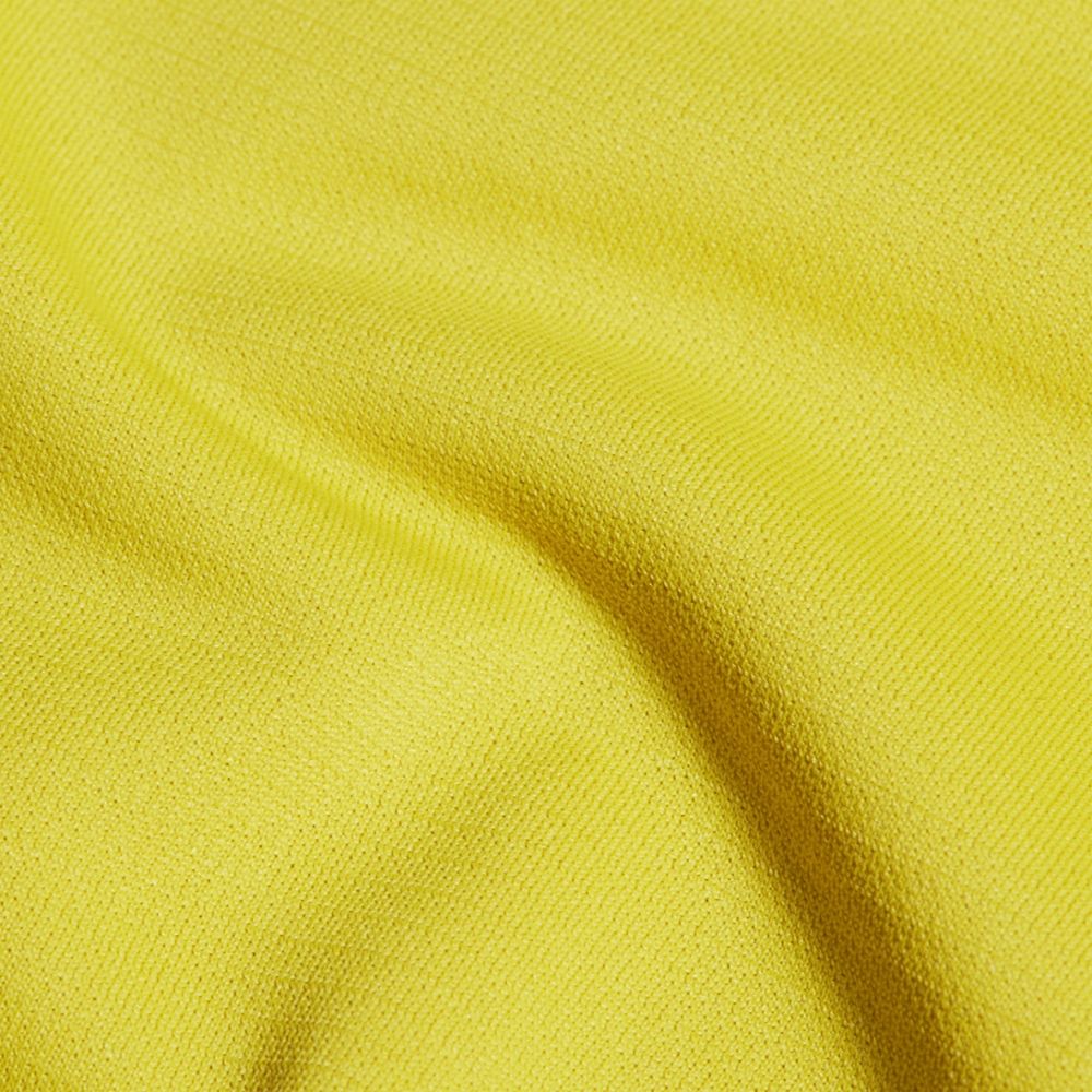 1016-02050-相思黃 -2.jpeg